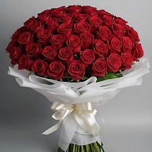 Букет 101 Красная роза Блэк Мэджик в Калининской Ростовской области
