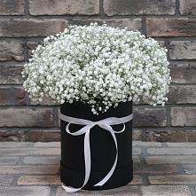 Цветочная композиция из Гипсофила в шляпной коробке #REPLACE_PRED# Калининской Ростовской области