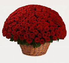 Премиум букет из: Розы #REPLACE_PRED# Калининской Ростовской области